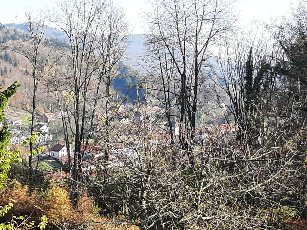 Derrière cette végétation, Giromagny se découvre depuis les sentiers miniers.